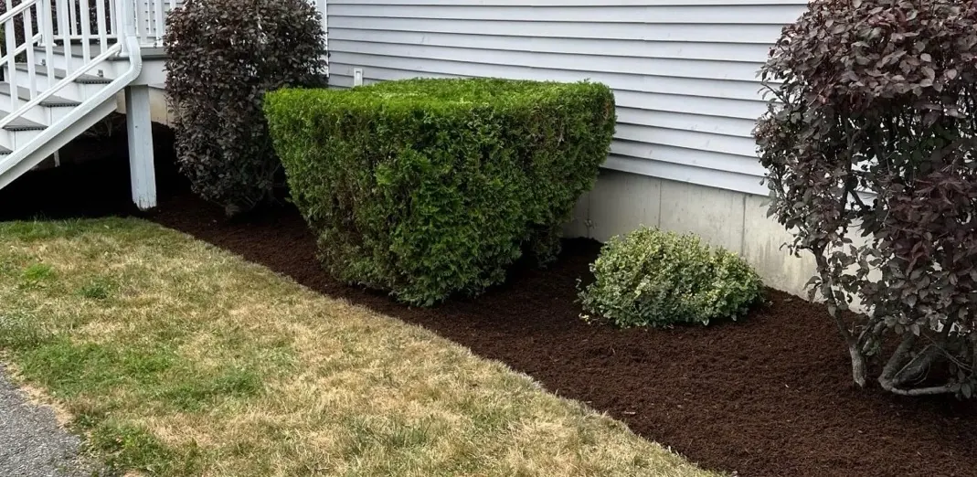 After landscaping - clean mulch beds along side of house